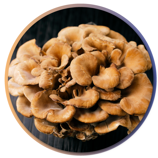 Beta Beta Glucan