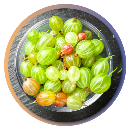 Indian-gooseberry