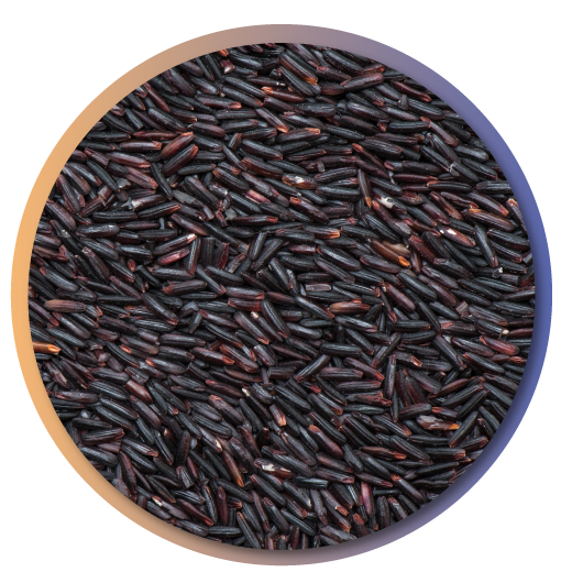 Riceberry-bran-oil
