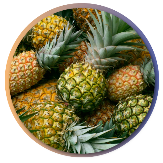 bromelain-item2