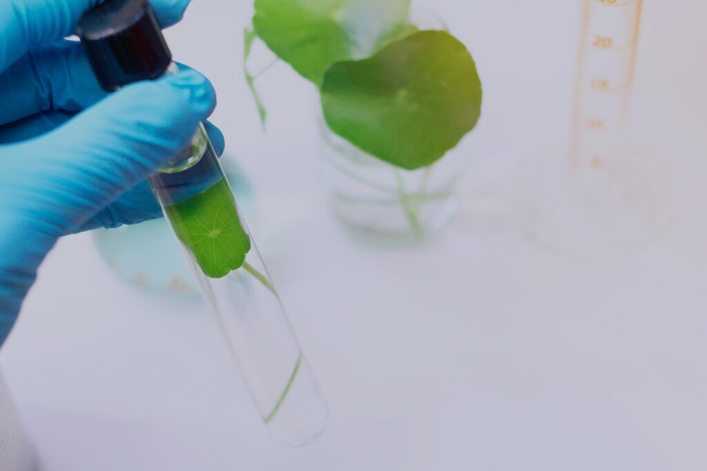 Antioxidants Tests _3-min Antioxidants Tests for cosmetic ingredients and products