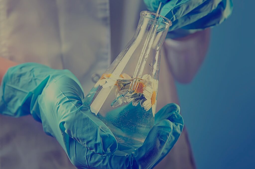 Cosmetic Efficacy Testing Services Cosmetic Efficacy Testing Services