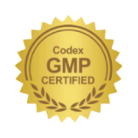 icon-gmp-codex