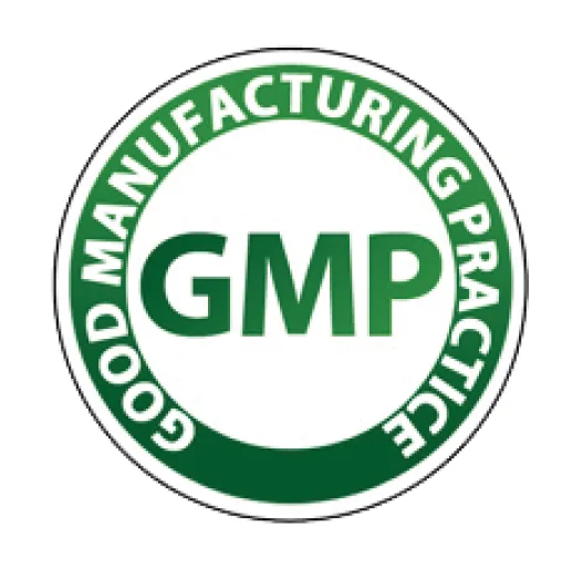 Good Manufacturing Practice (GMP)