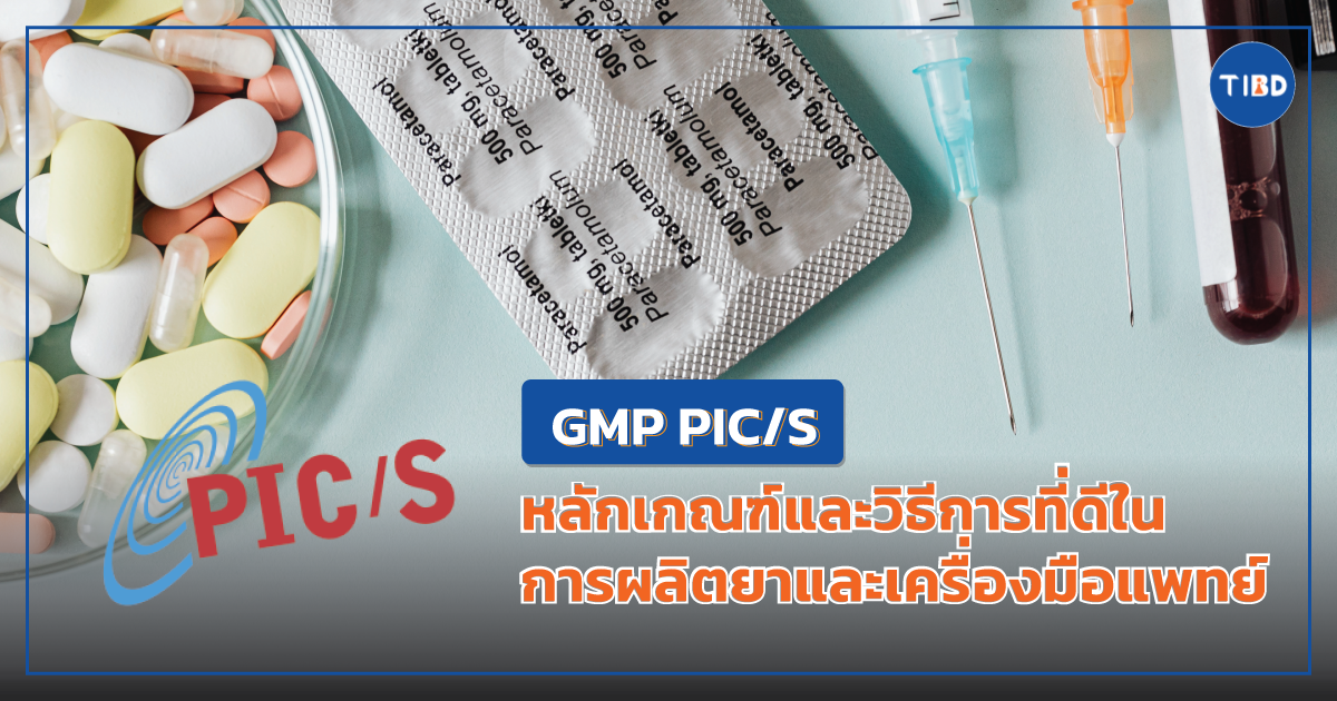 08-TIBDContent-GMP-PICS GMP PIC/S