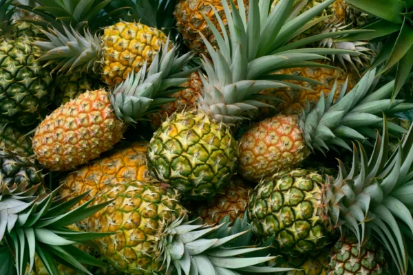Bromelain_pineapple Bromelain_pineapple
