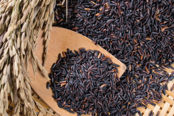 Rice-berry Rice-berry