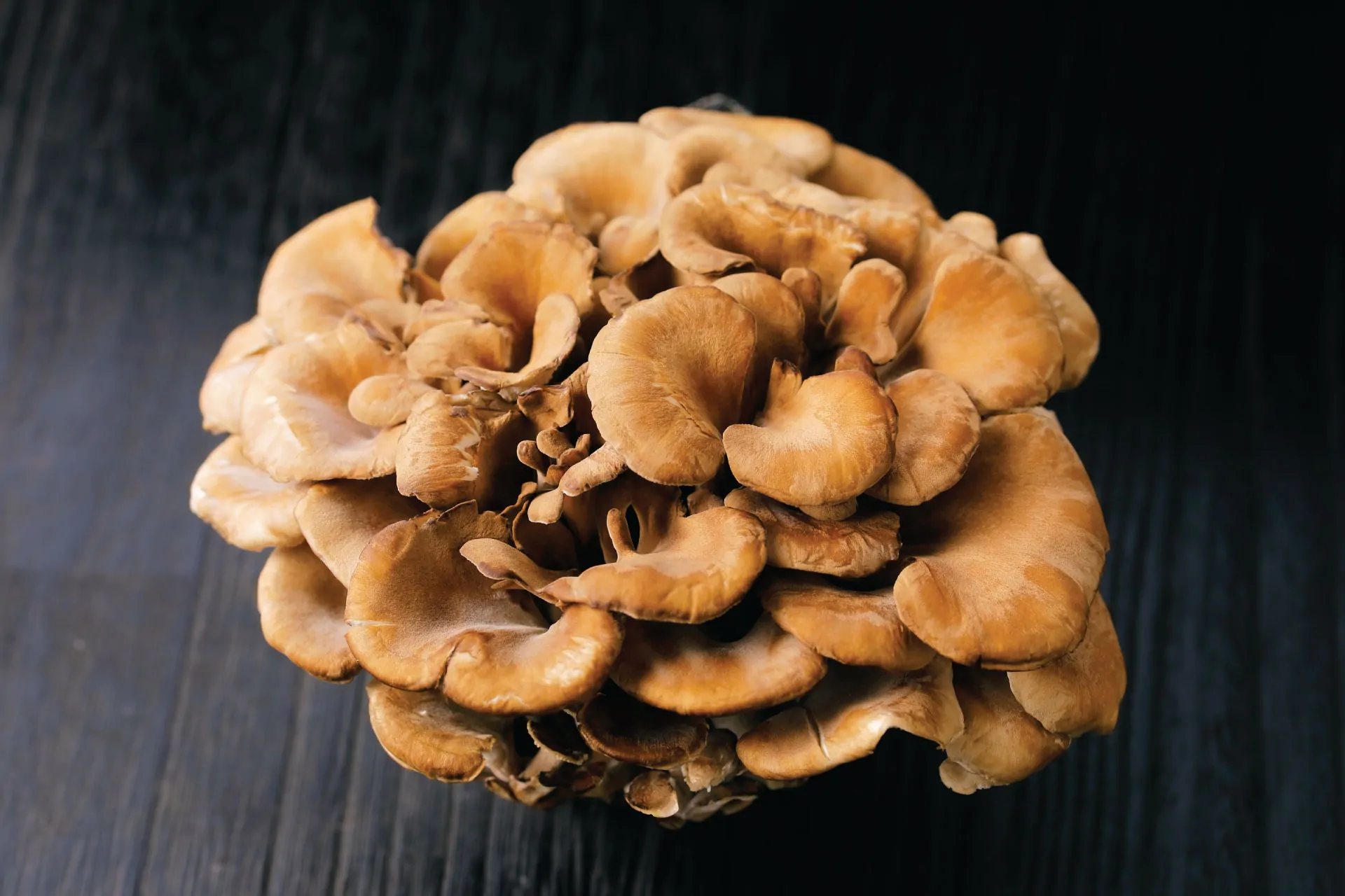Beta-Glucan2 Beta-Glucan
