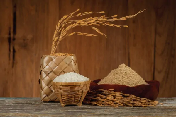 Protein-Hydrolysate3 Protein-Hydrolysate
