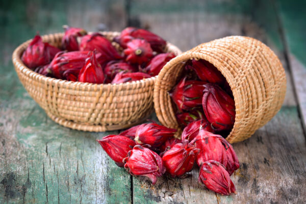 Red-sorrel Red-sorrel