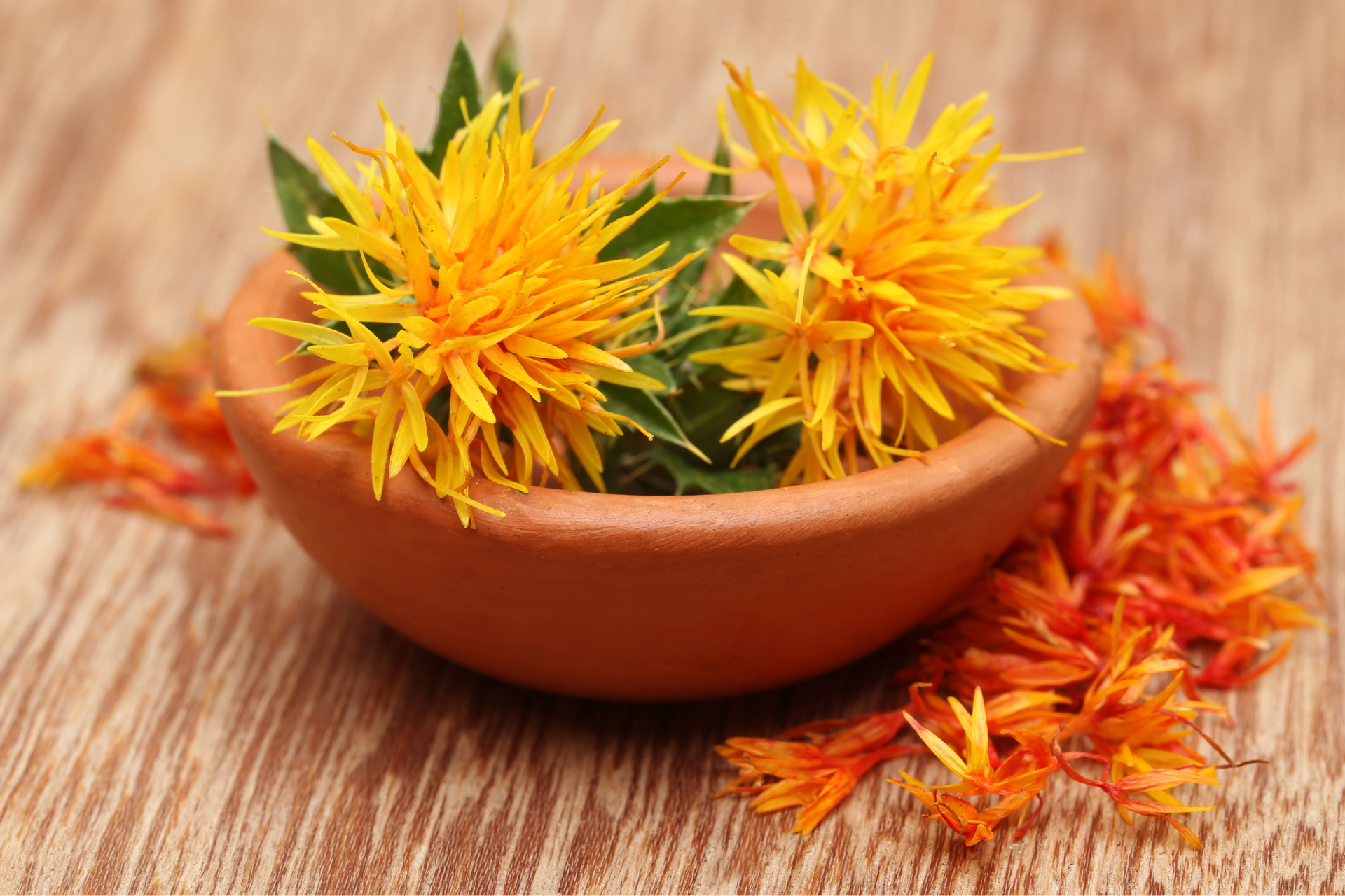 Safflower