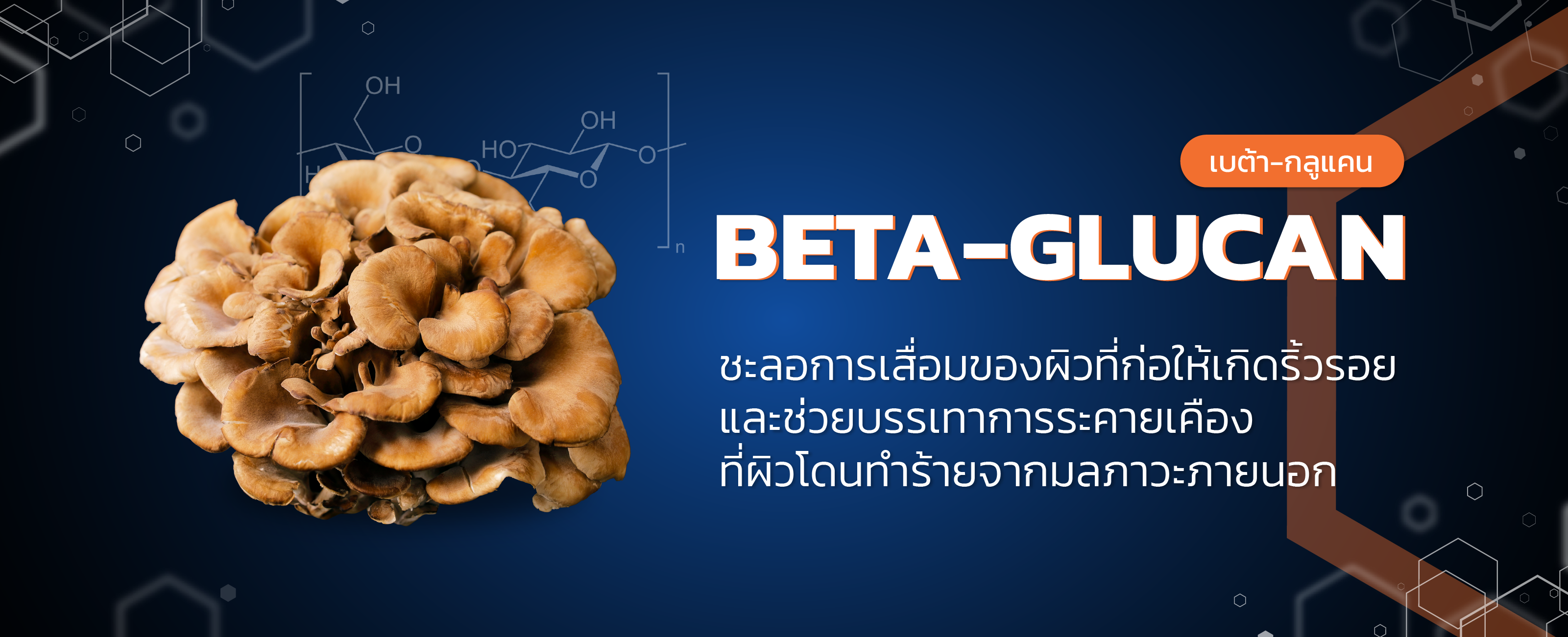 เบต้า กลูแคน (beta glucan)