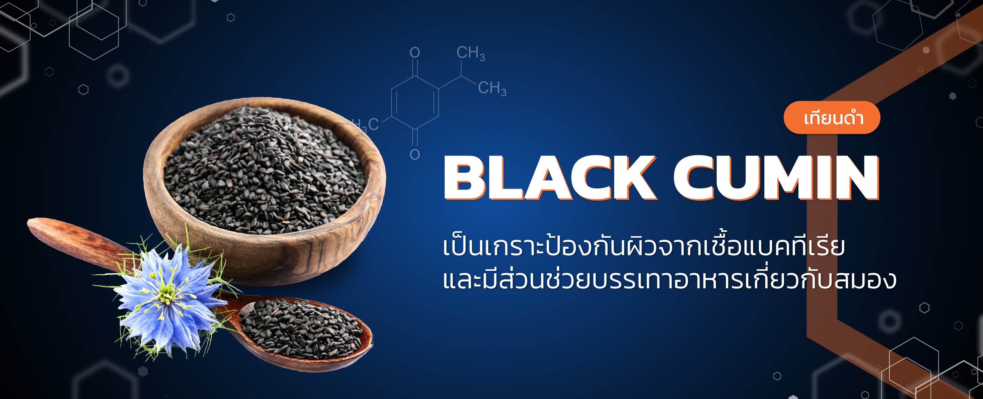 สารสกัดเทียนดำ (black cumin)