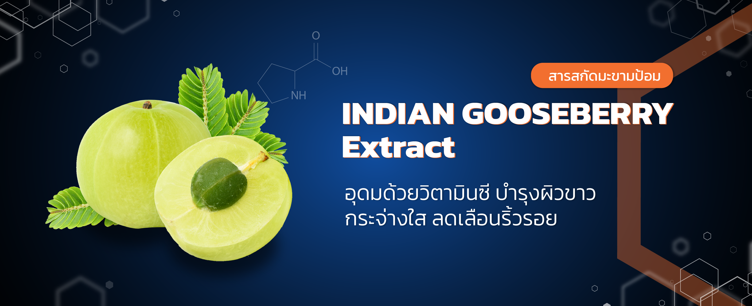 สารสกัดมะขามป้อม (Indian goosberry ectract)