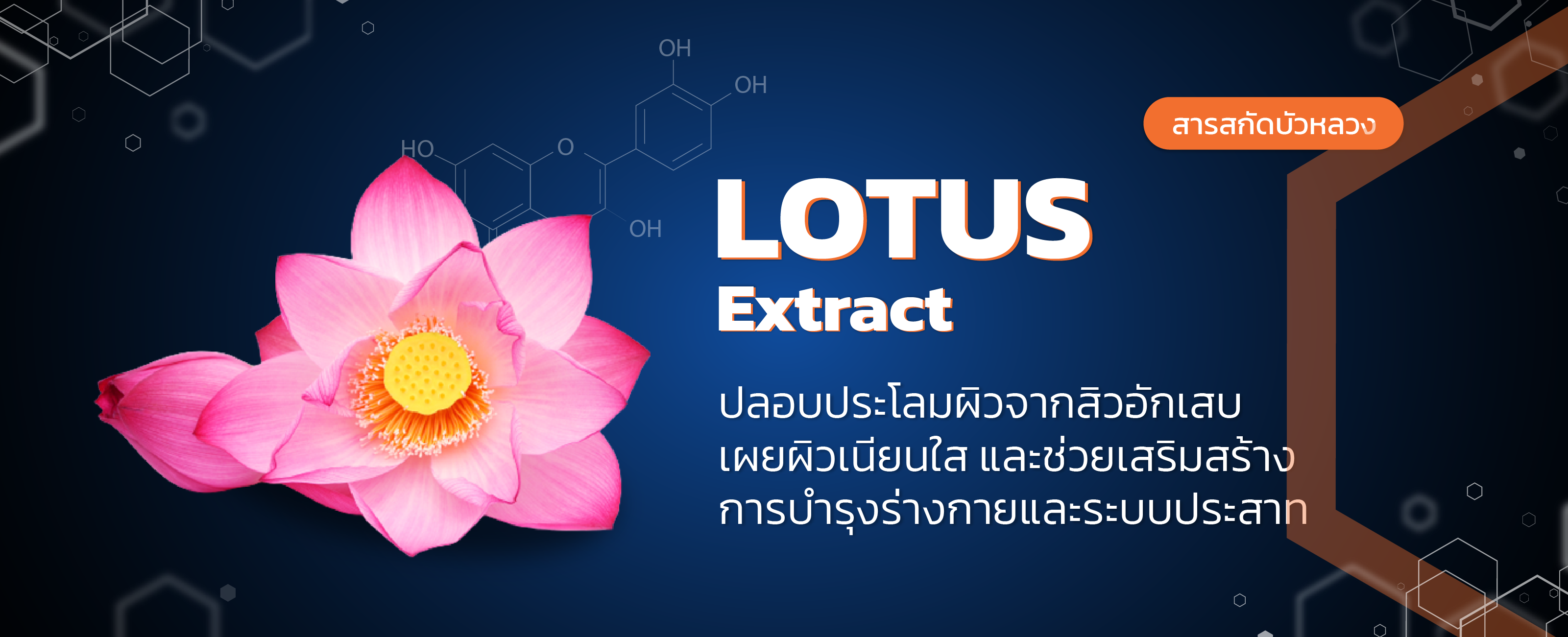 สารสกัดจากบัวหลวง (Lotus Extract)