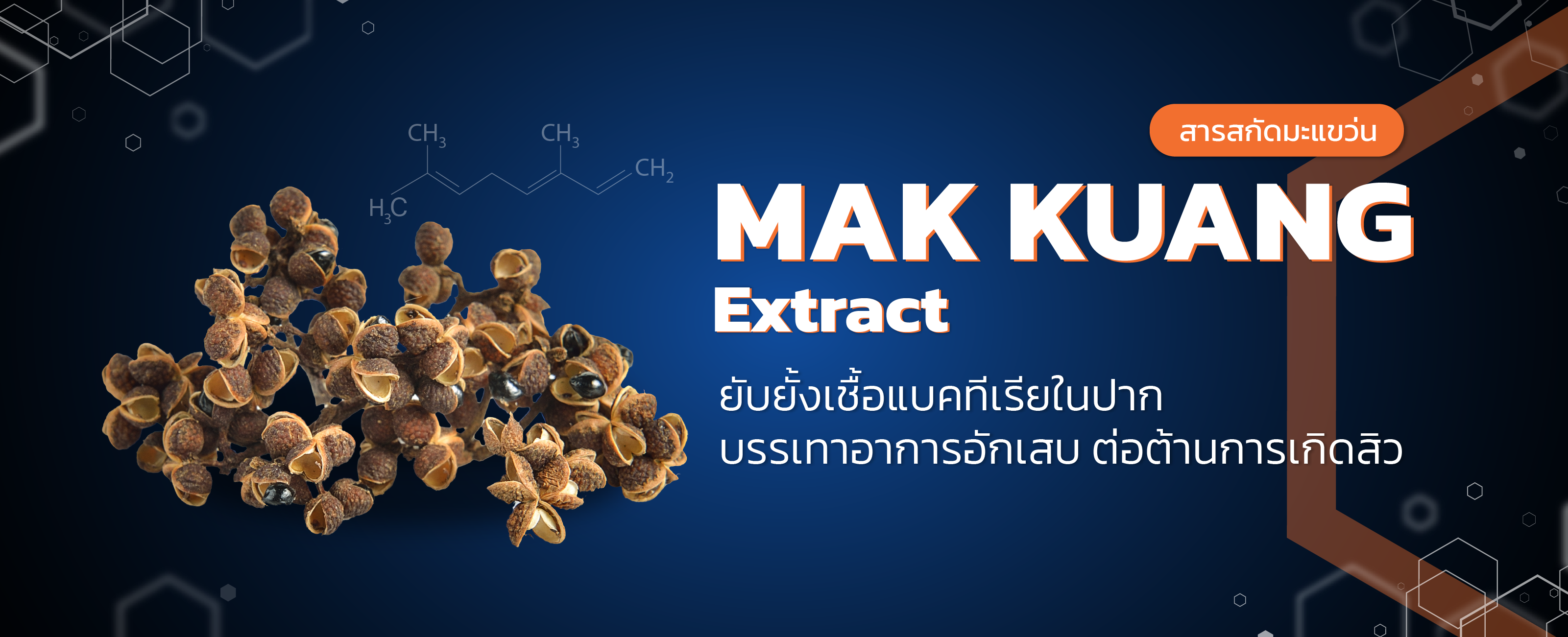 สารสกัดมะแขว่น (mak kuang extract)