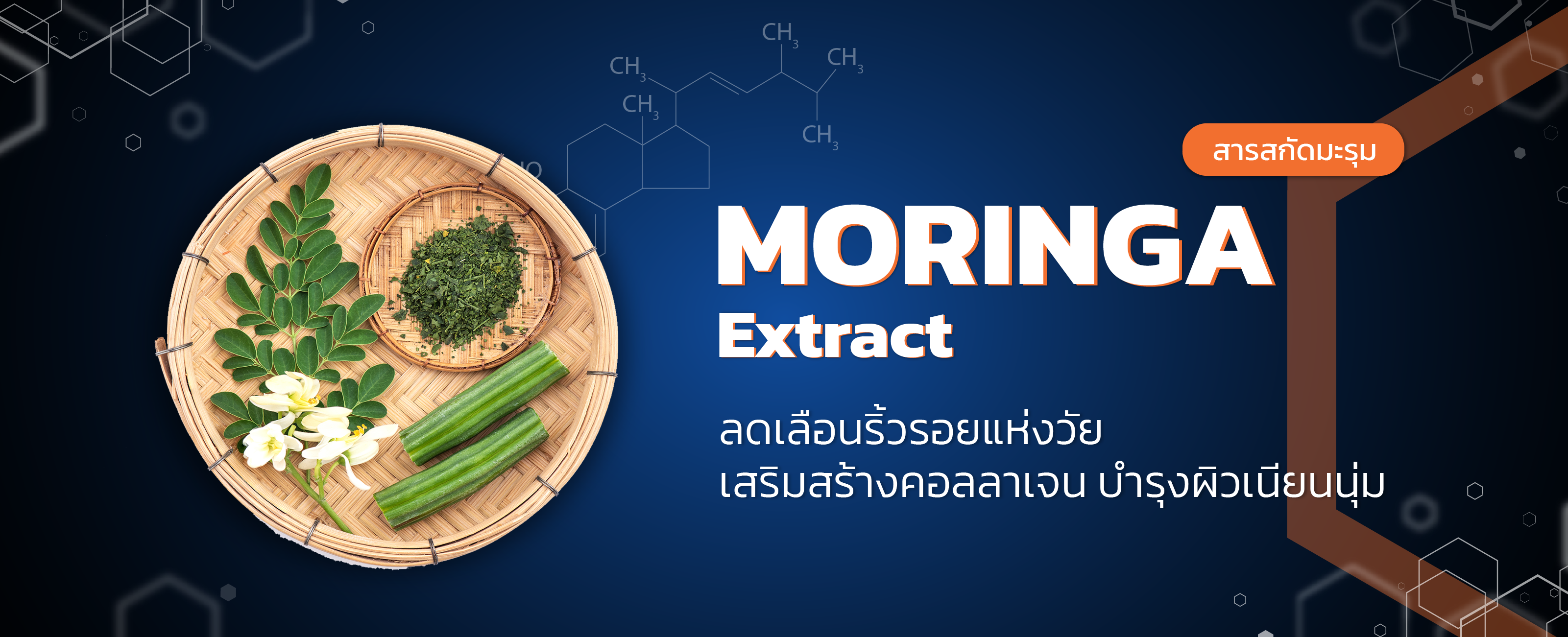 สารสกัดมะรุม (moringa)