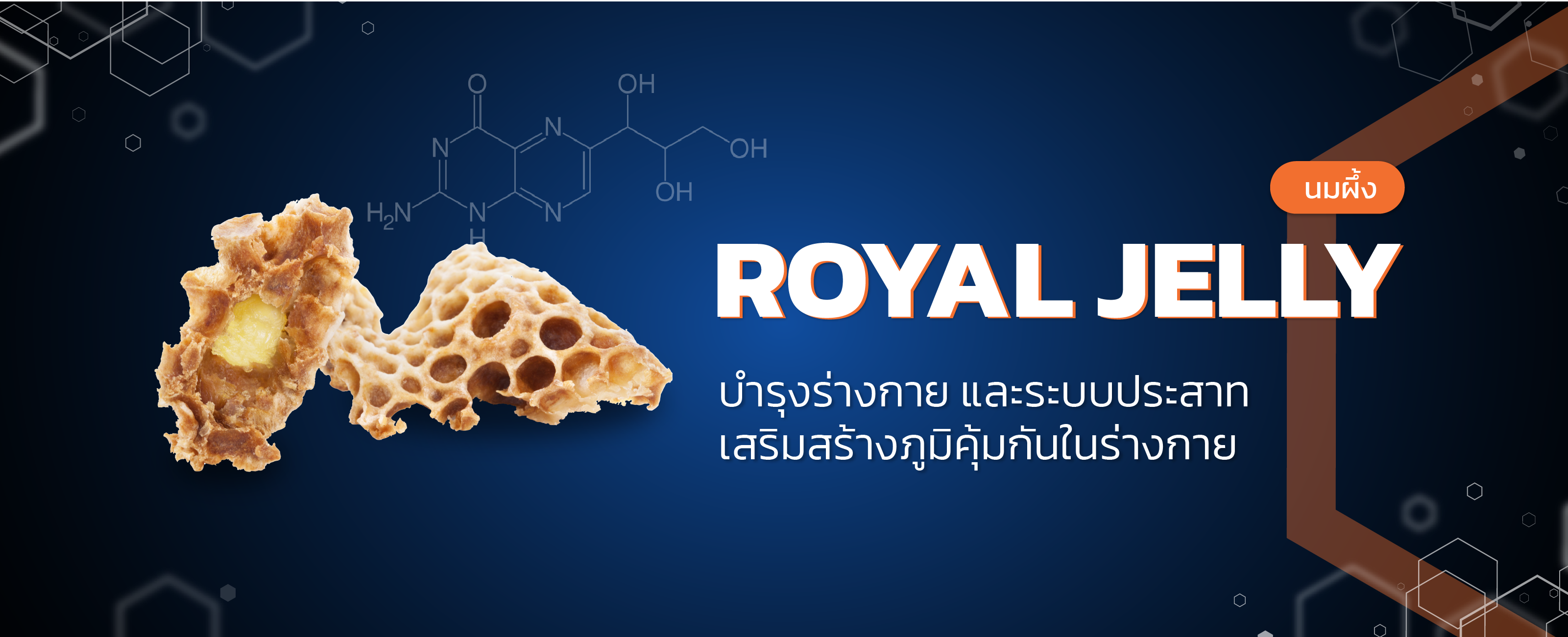 นมผึ้ง (Royal jelly)