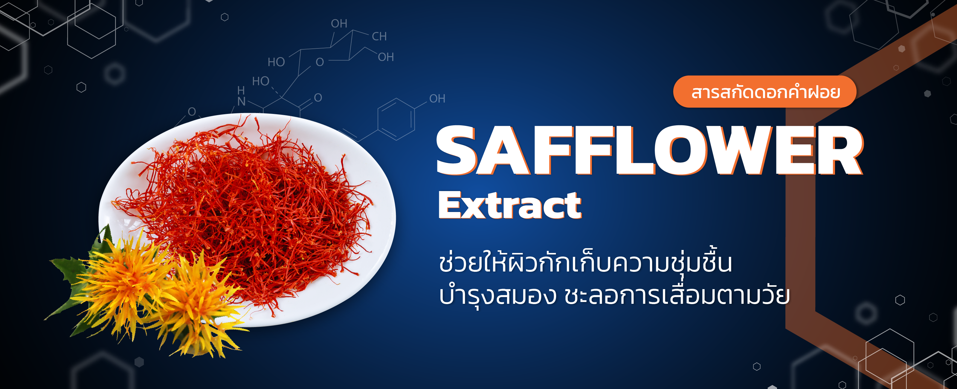 สารสกัดดอกคำฝอย