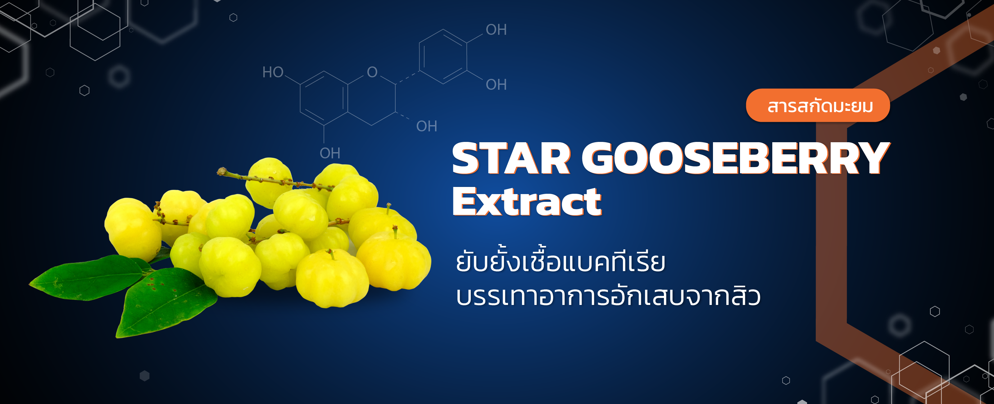 star gooseberry