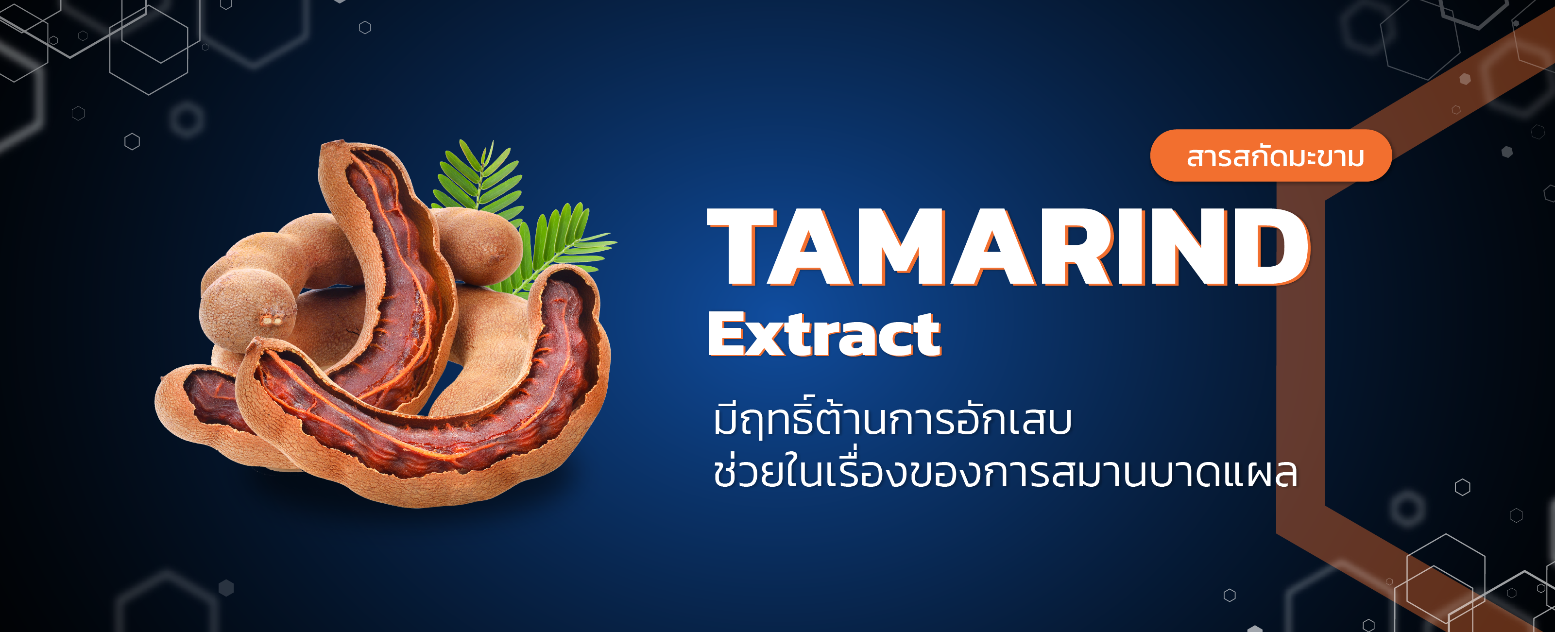 สารสกัดมะขาม (Tamarind)