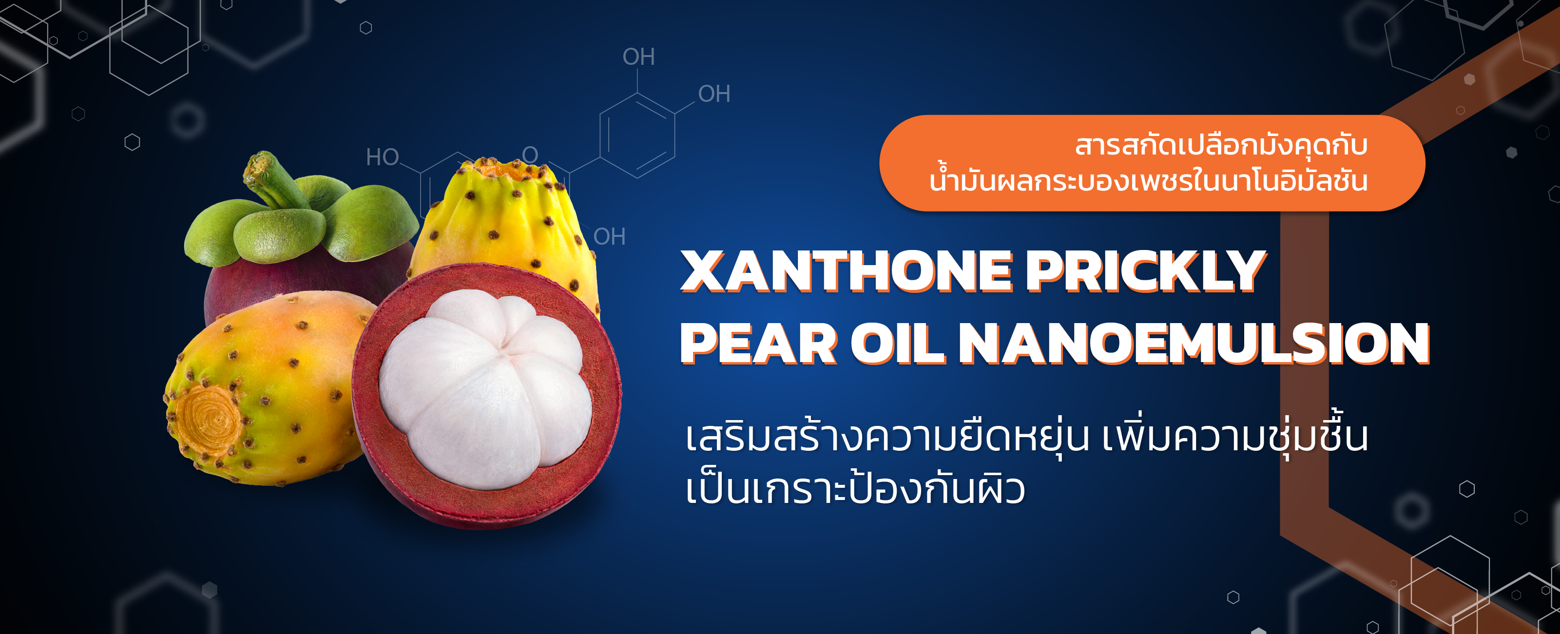 สารสกัดเปลือกมังคุดกับน้ำมันผลกระบองเพชรในนาโนอิมัลชัน (Xanthone Prickly Pear Oil Nanoemulsion)