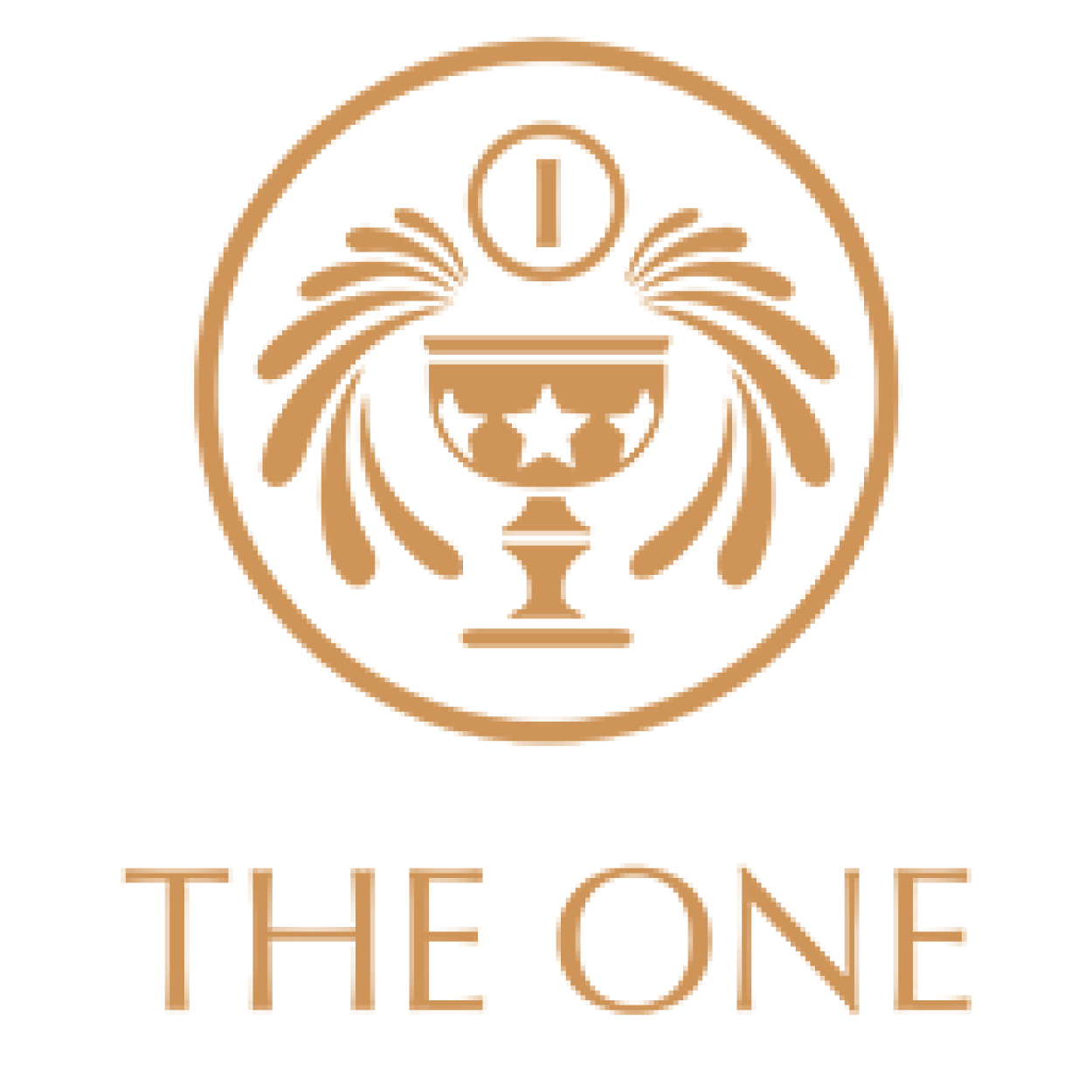 ลูกค้าของเรา-TIBD The-One