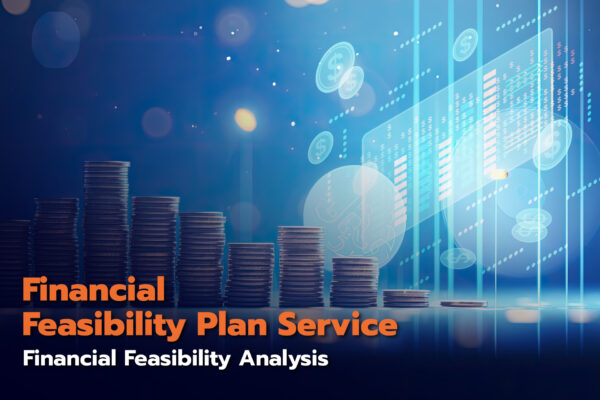 Financial Feasibility Plan Service
