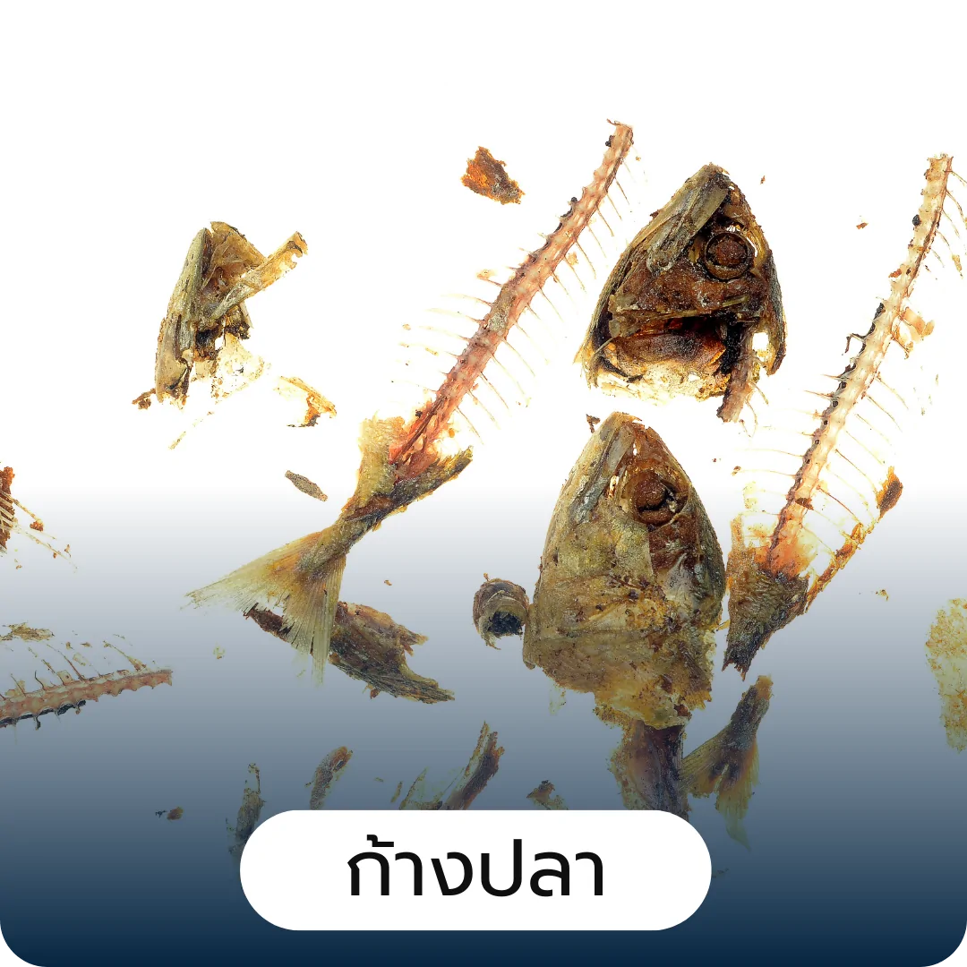 การพัฒนาแผน ความเป็นไปได้ทางการตลาด การพัฒนาแผน ความเป็นไปได้ทางการตลาด