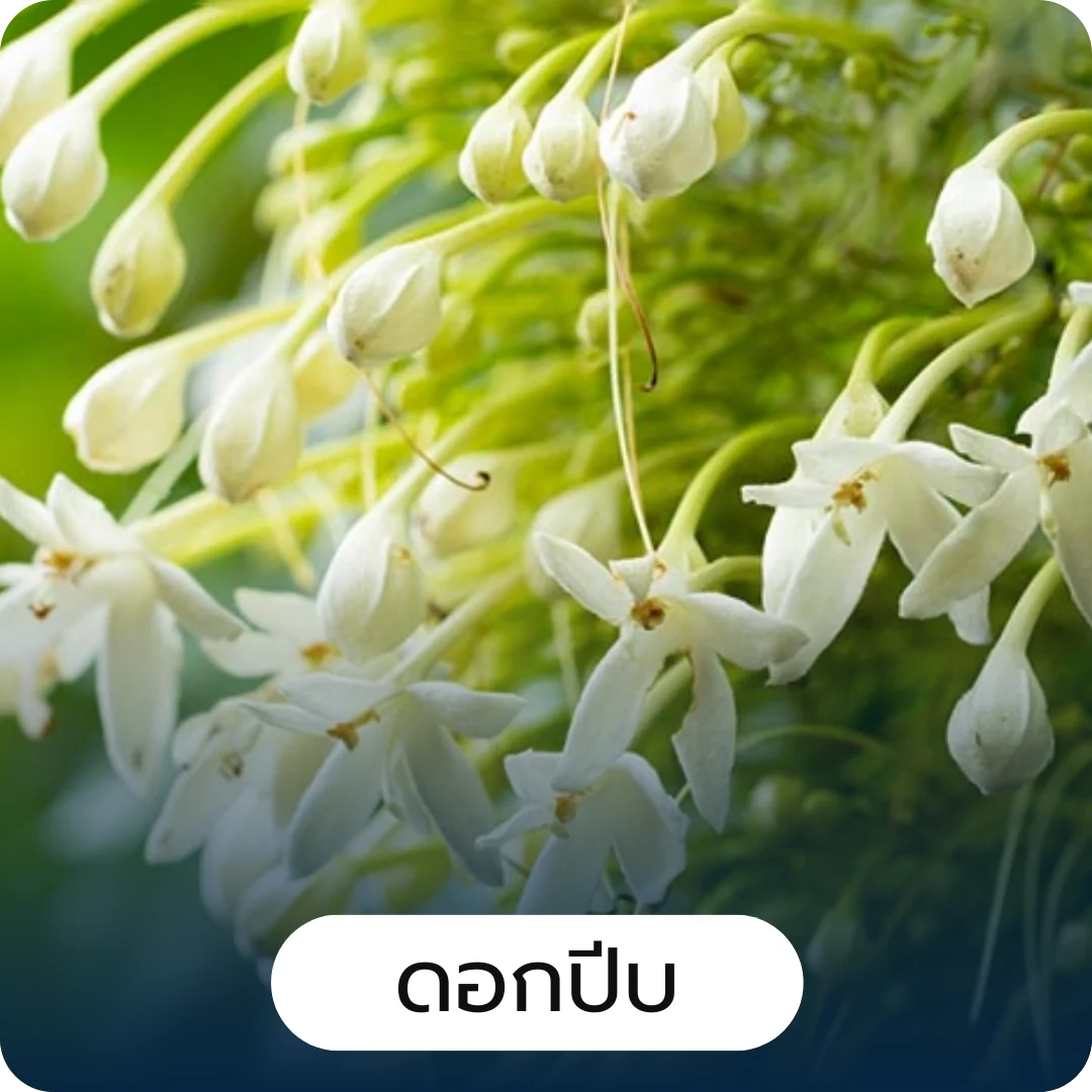 การพัฒนาแผน ความเป็นไปได้ทางการตลาด การพัฒนาแผน ความเป็นไปได้ทางการตลาด