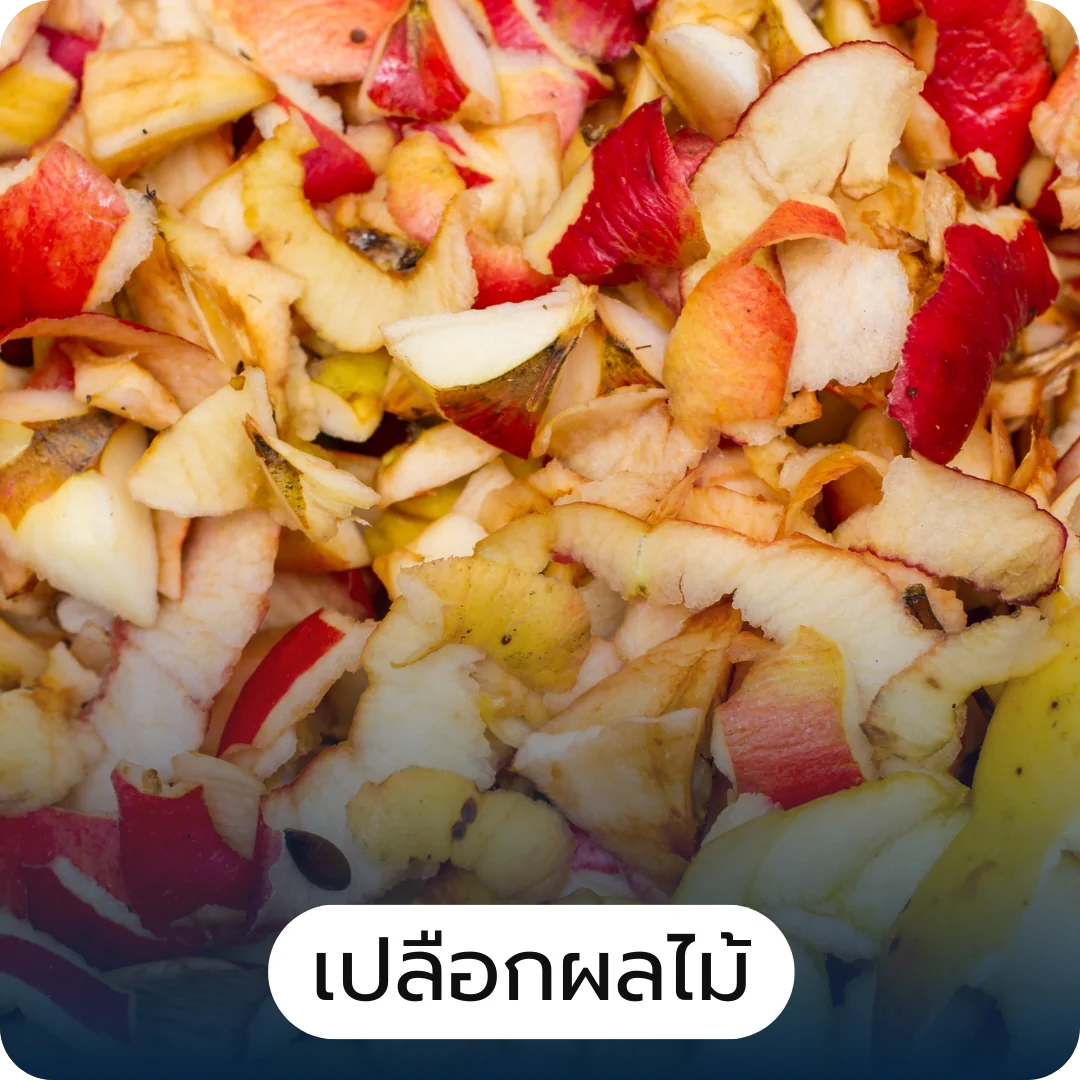 การพัฒนาแผน ความเป็นไปได้ทางการตลาด การพัฒนาแผน ความเป็นไปได้ทางการตลาด