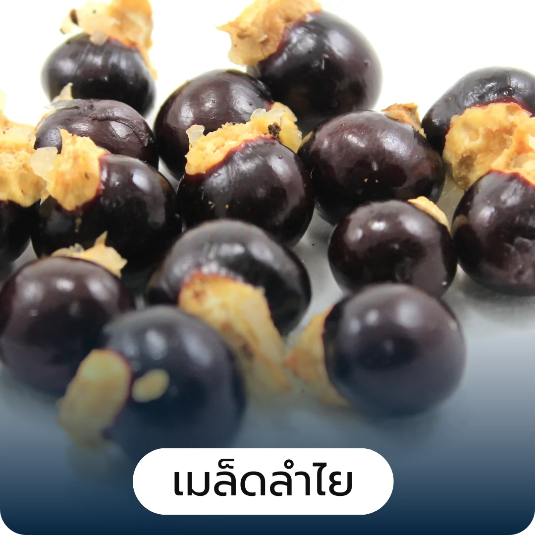 การพัฒนาแผน ความเป็นไปได้ทางการตลาด การพัฒนาแผน ความเป็นไปได้ทางการตลาด