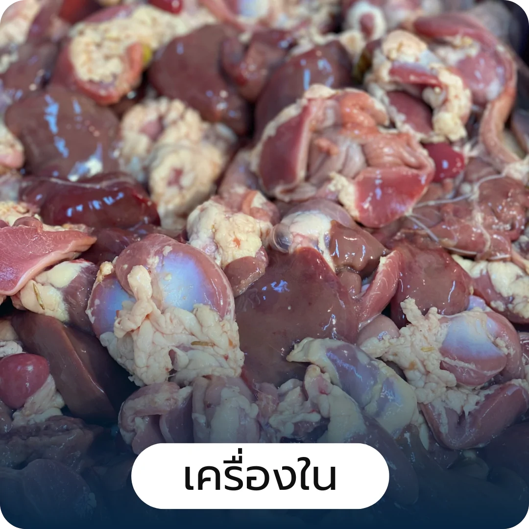 โปรตีนไฮโดรไลเสต Hydrolyzed Protein and Peptides Development โปรตีนไฮโดรไลเสต Hydrolyzed Protein and Peptides Development , การพัฒนาแผน ความเป็นไปได้ทางการตลาด