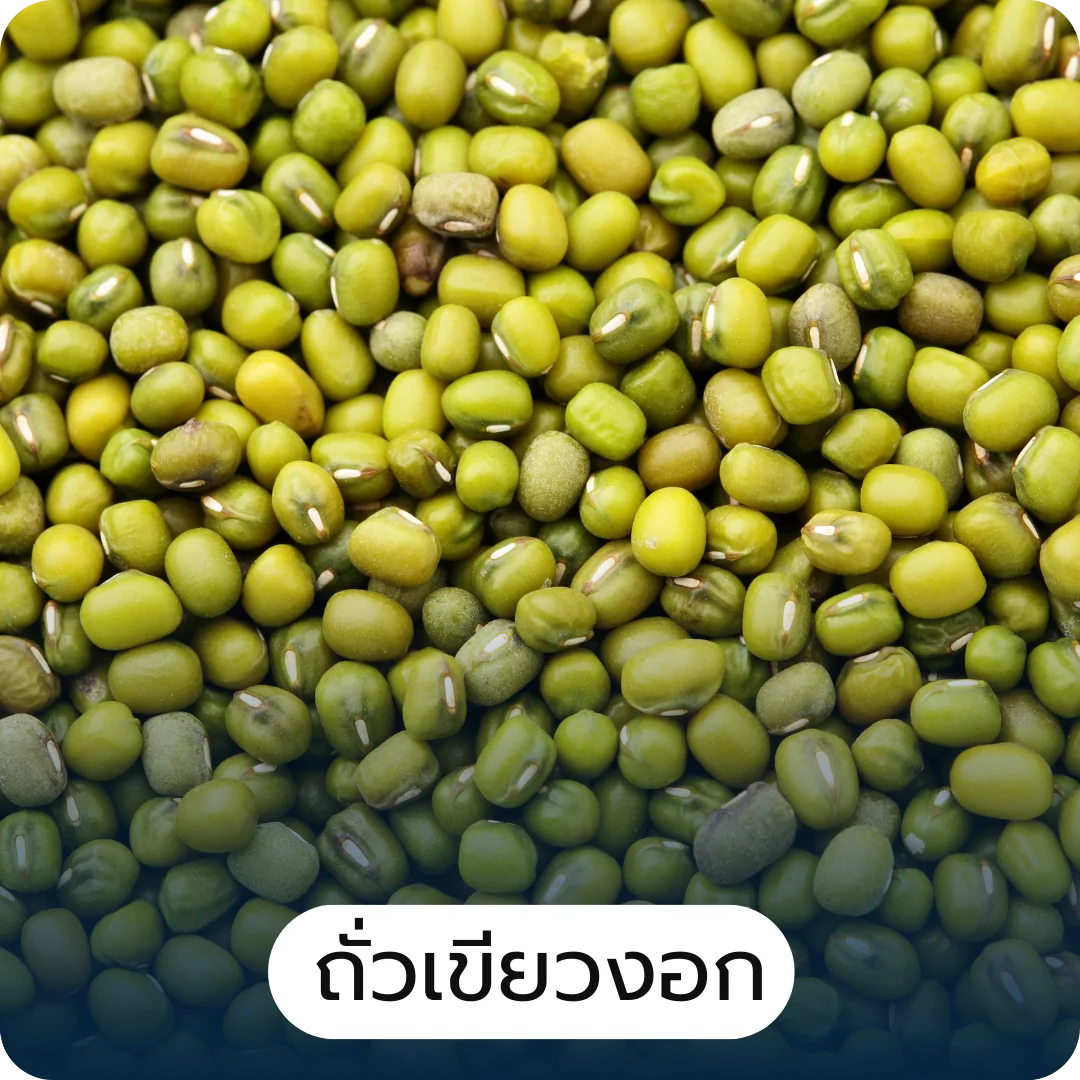 โปรตีนไฮโดรไลเสต Hydrolyzed Protein and Peptides Development