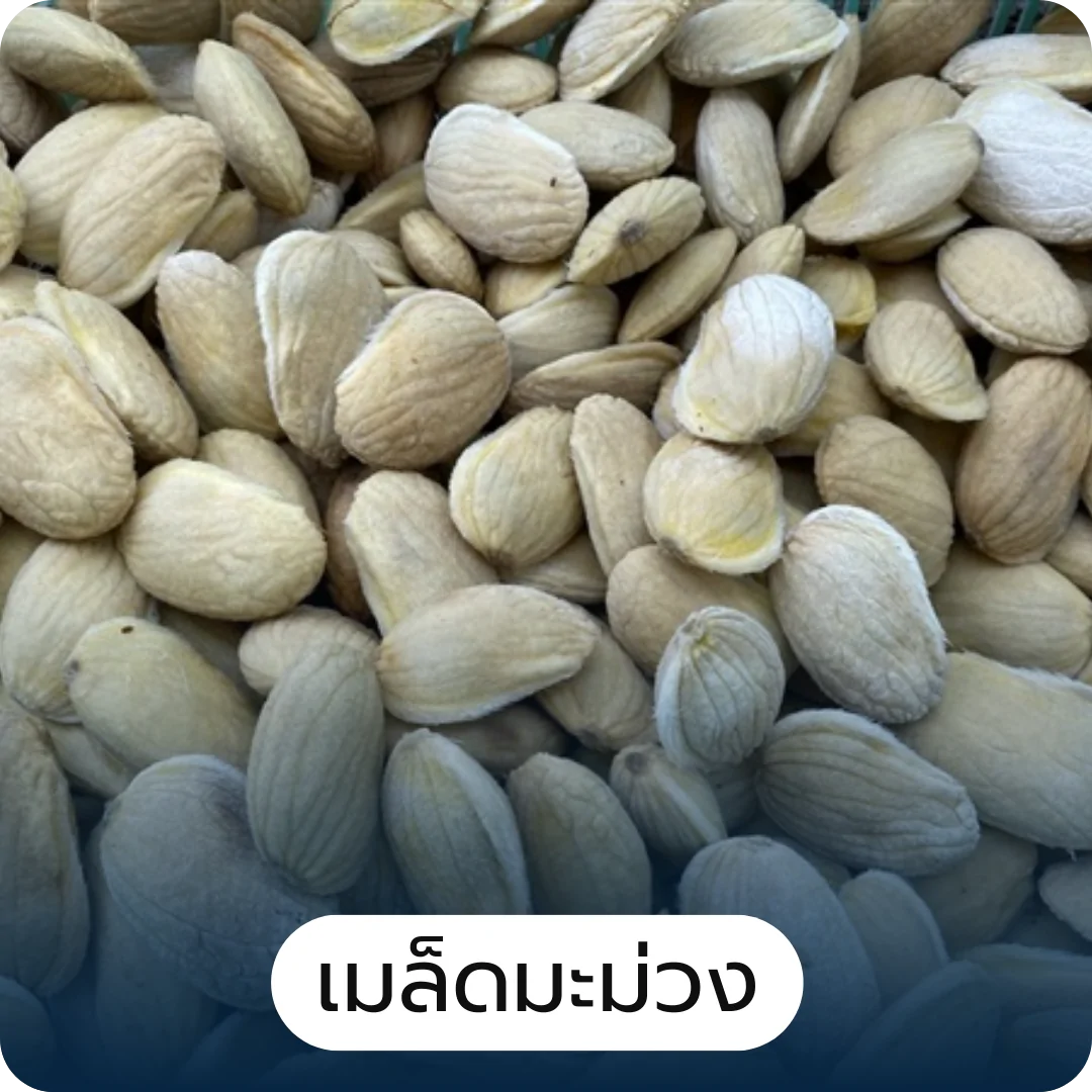 โปรตีนไฮโดรไลเสต Hydrolyzed Protein and Peptides Development โปรตีนไฮโดรไลเสต Hydrolyzed Protein and Peptides Development , การพัฒนาแผน ความเป็นไปได้ทางการตลาด
