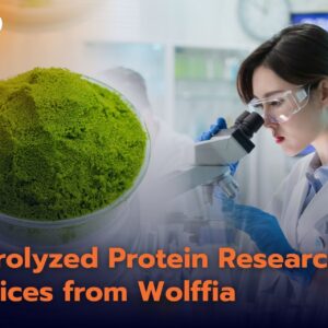 วิจัยโปรตีนไฮโดรไลเสทจาก ไข่ผำ Hydrolyzed Protein Research Services from Wolffia