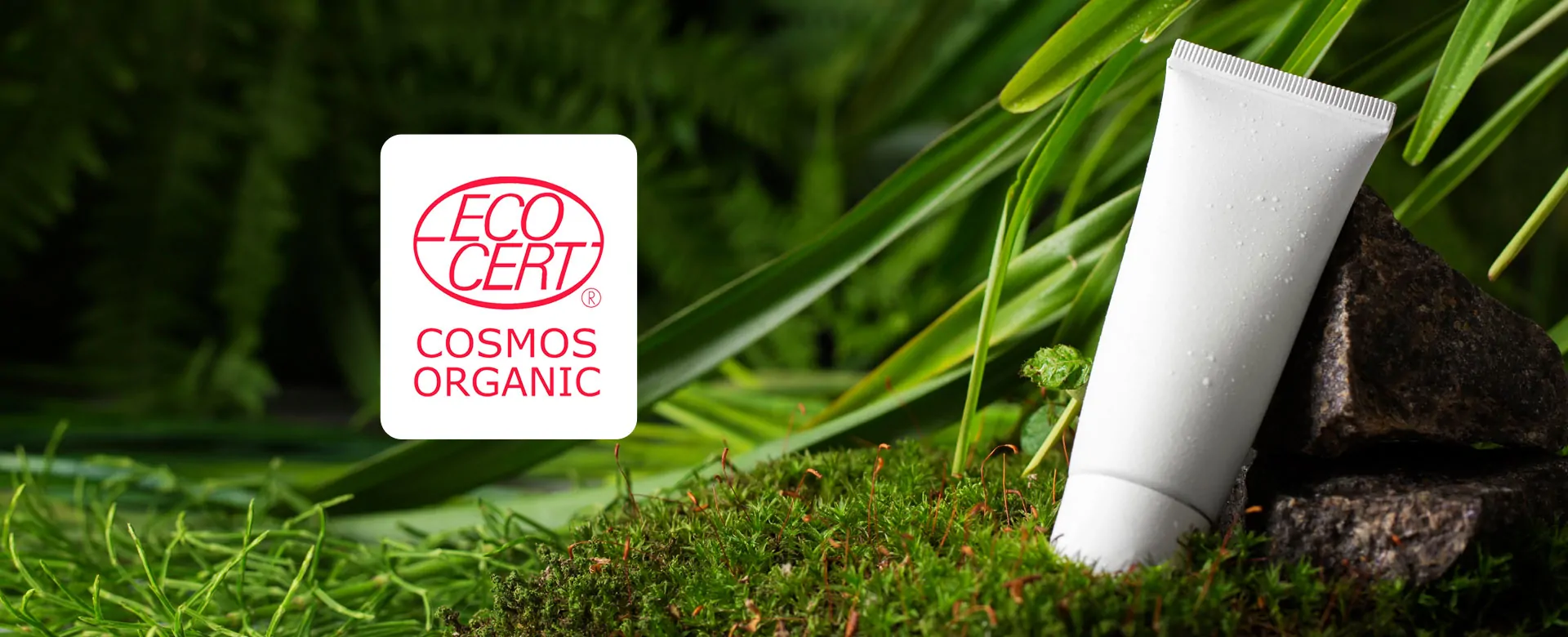 Organic-Cosmos