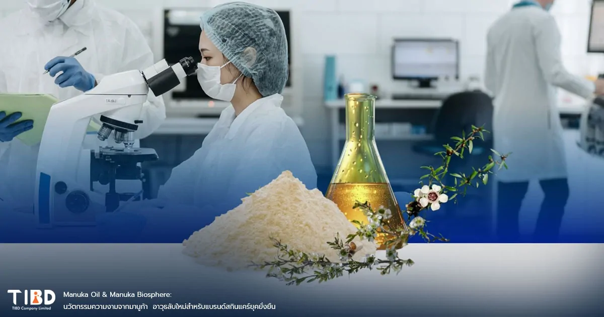 Manuka Oil & Manuka Biosphere: นวัตกรรมความงามจากมานูก้า อาวุธลับใหม่สำหรับแบรนด์สกินแคร์ยุคยั่งยืน Manuka Oil & Manuka Biosphere: นวัตกรรมความงามจากมานูก้า อาวุธลับใหม่สำหรับแบรนด์สกินแคร์ยุคยั่งยืน