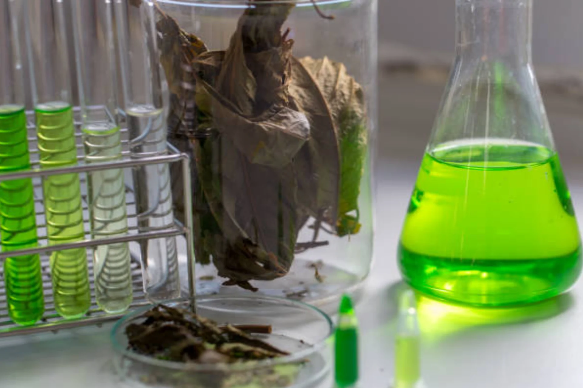 บริการวิจัย การสกัดกระท่อม (Kratom Extraction Research) บริการวิจัย การสกัดกระท่อม (Kratom Extraction Research)