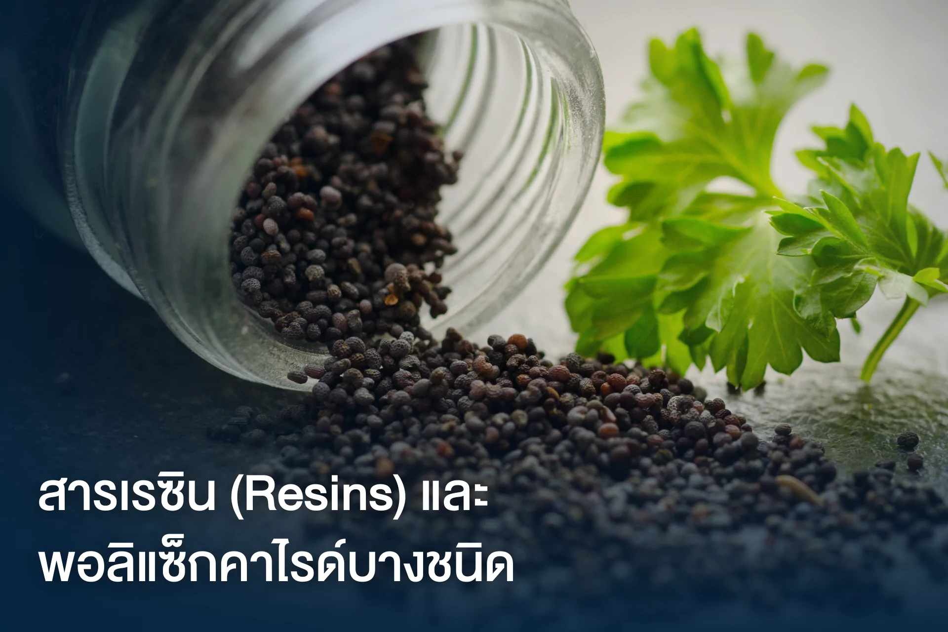 บริการสกัดด้วยวิธี Soxhlet ( Soxhlet Extraction ) บริการสกัดด้วยวิธี Soxhlet ( Soxhlet Extraction )