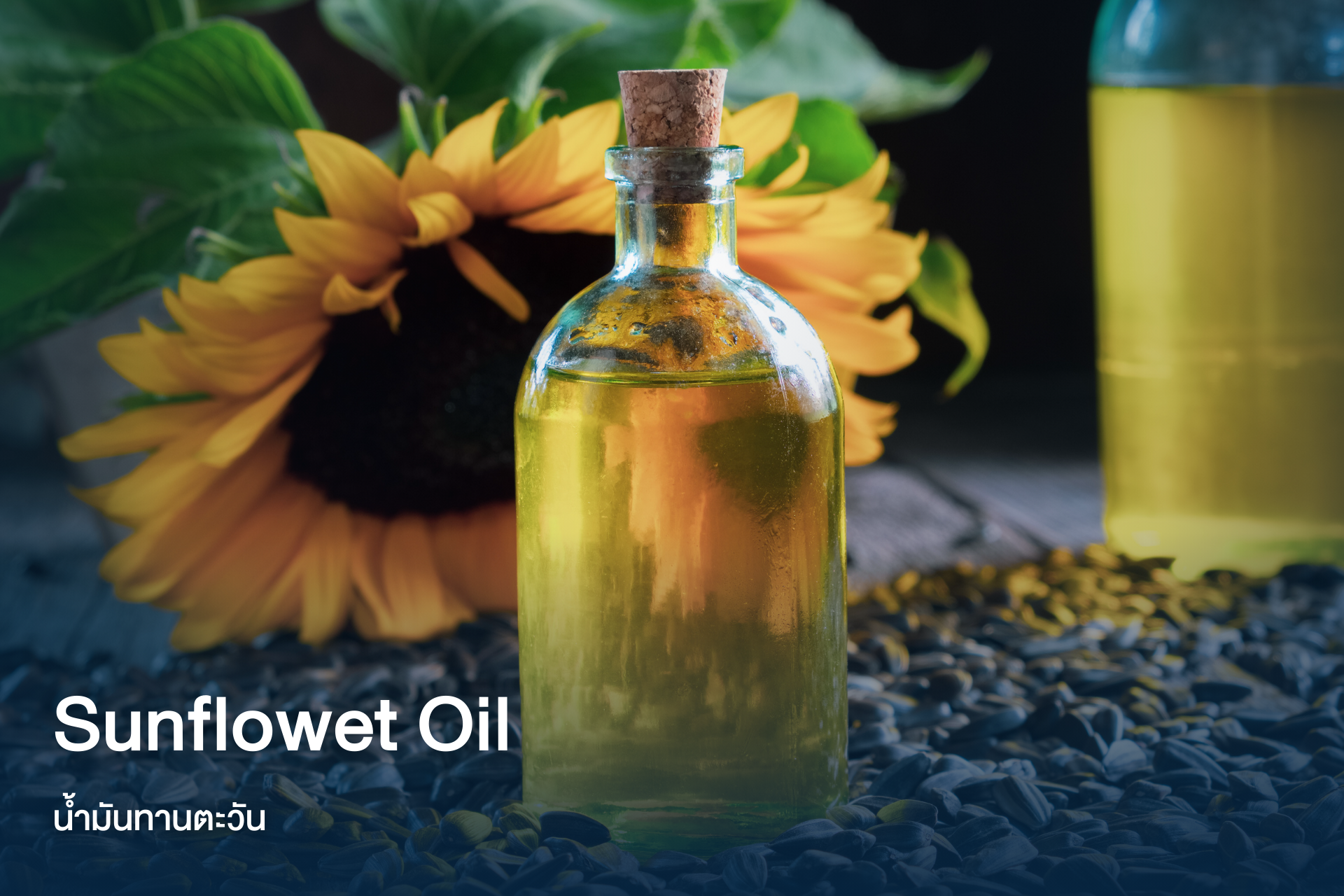 บริการบีบน้ำมันแบบเย็น ( Oil - Cold Press ) บริการบีบน้ำมันแบบเย็น ( Oil - Cold Press )