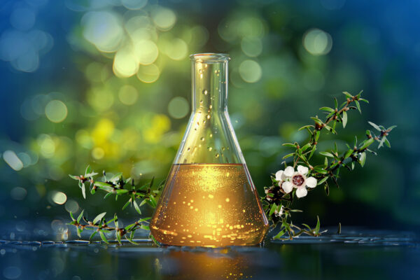 Manuka Oil