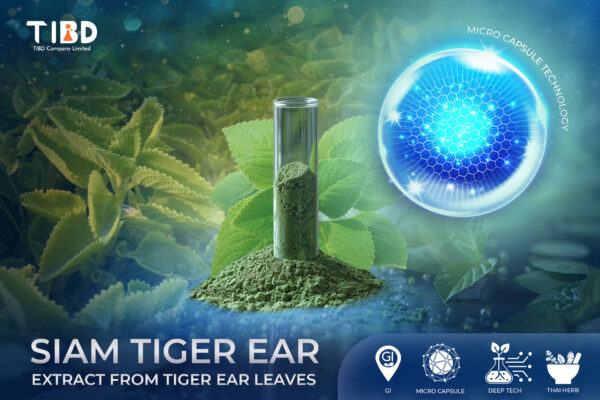 Siam Tiger Ear