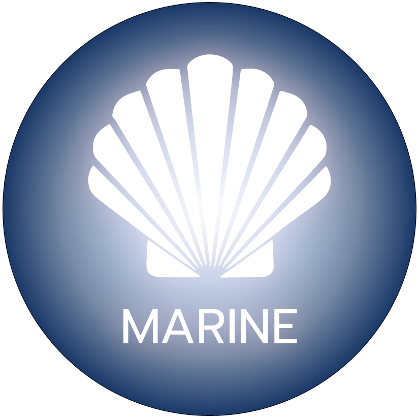 Marine