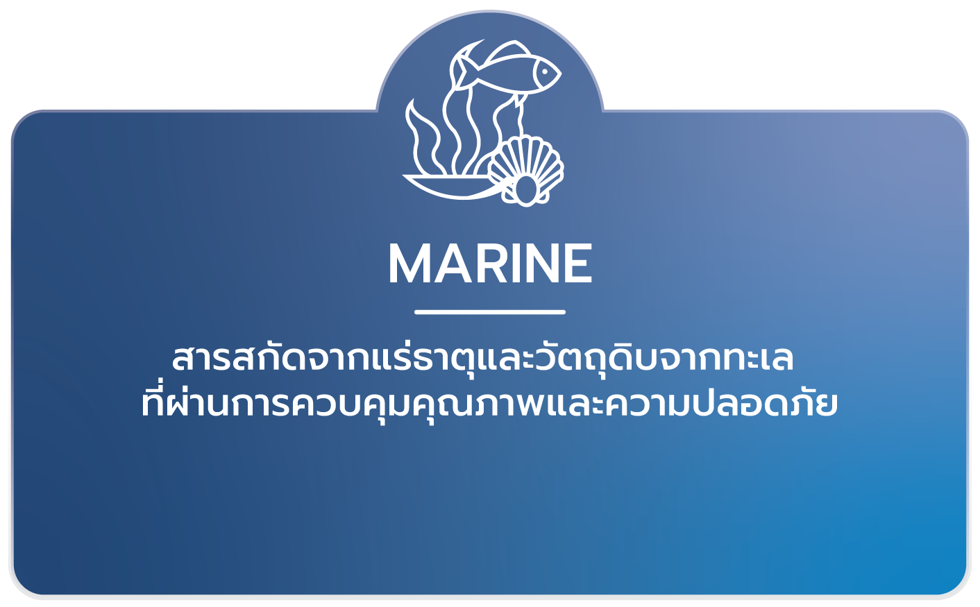 Marine-IP-Tech