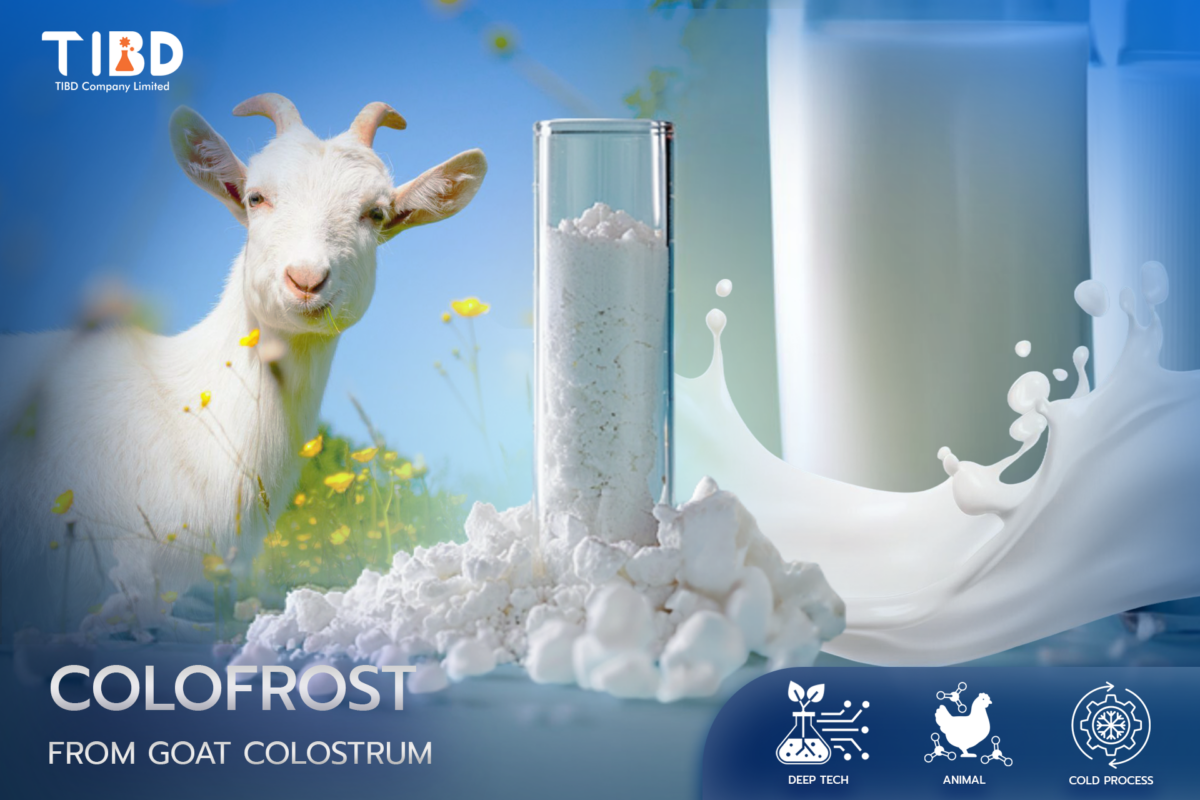 COLOFROST - TIBD Co., Ltd.
