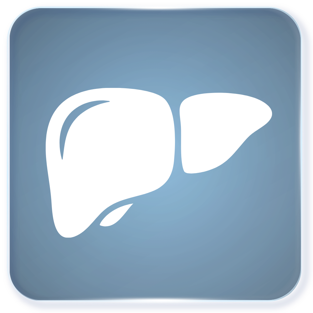 Liver Support Liver Support