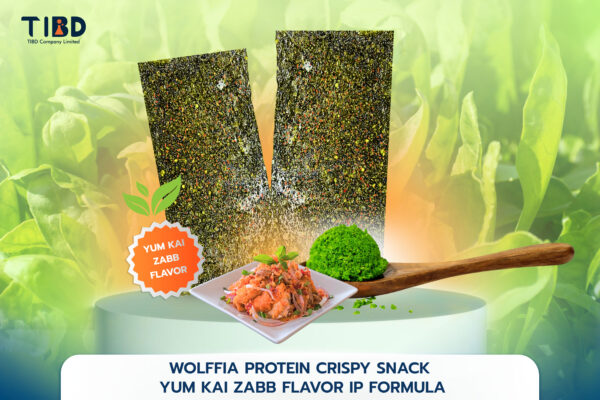 WOLFFIA PROTEIN CRISPY SNACK YUM KAI ZABB FLAVOR IP FORMULA