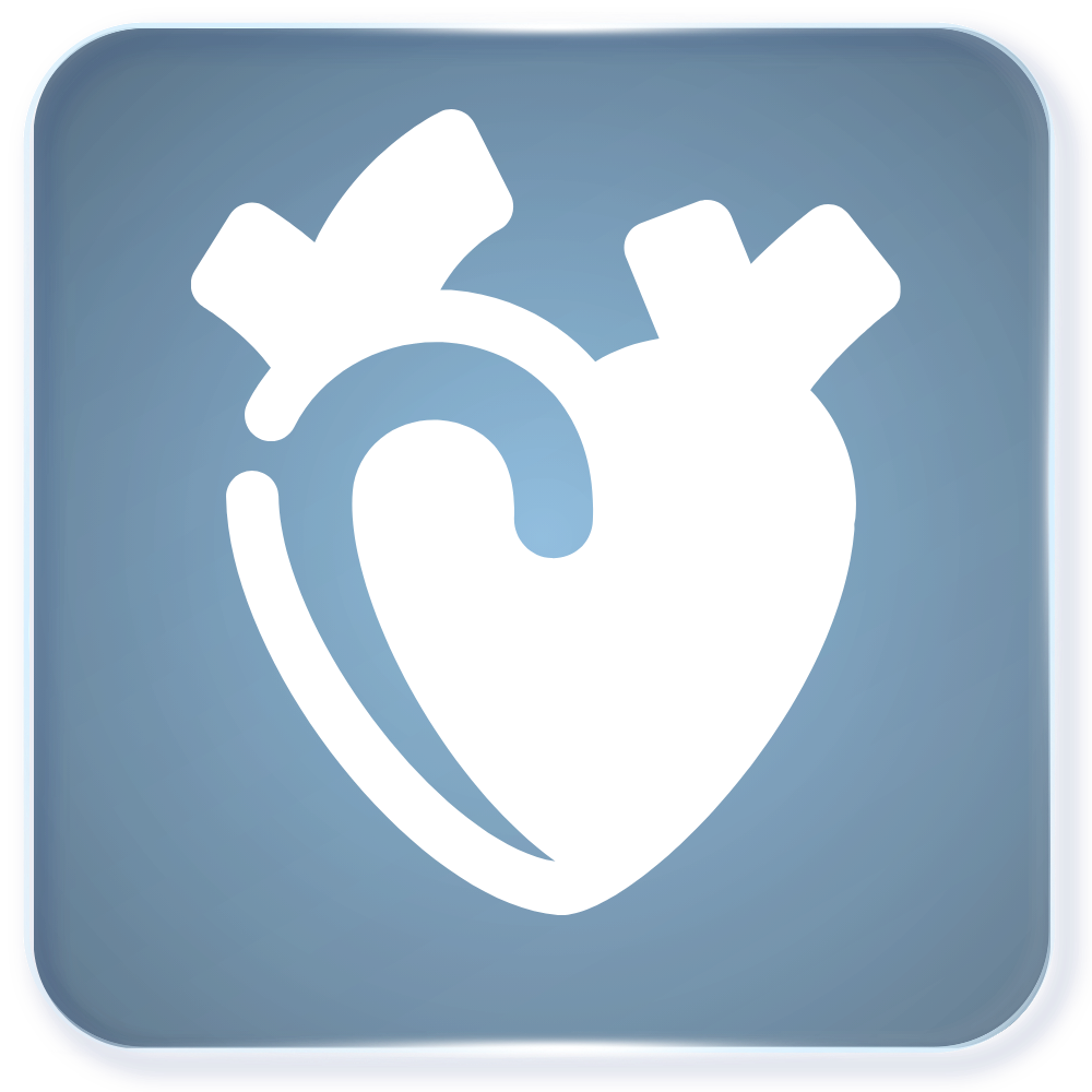 heart support heart support