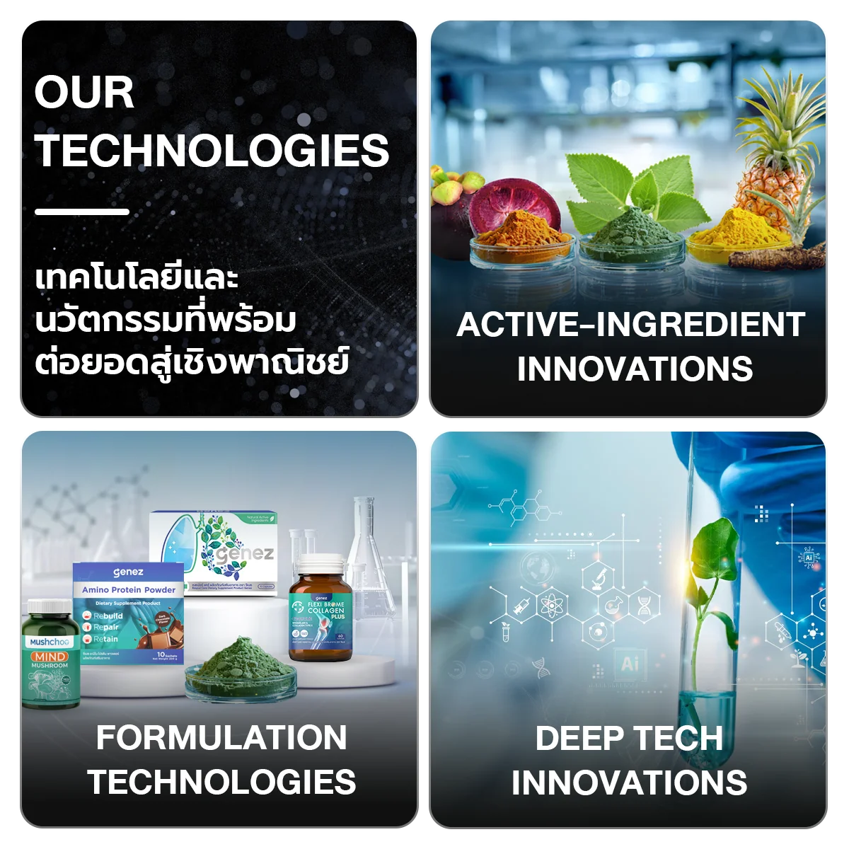 TIBD-Our Technology TIBD-Our Technology